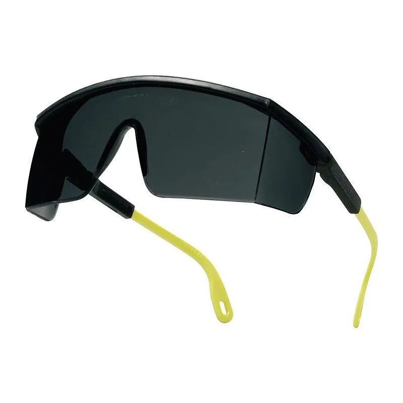 Lunettes de protection en polycarbonate KILIMANJARO - DELTA PLUS