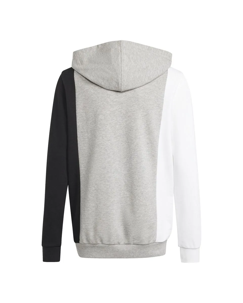 Sweat à capuche Enfant J CB FT HD Gris