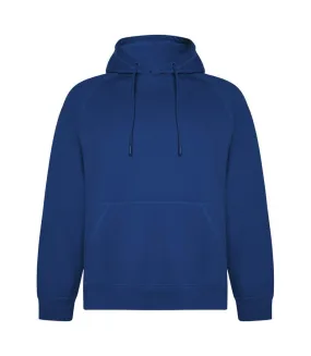 Sweat à capuche vinson adulte bleu roi Roly